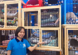 Cách làm chuồng chó bằng gỗ đơn giản, dễ sử dụng
