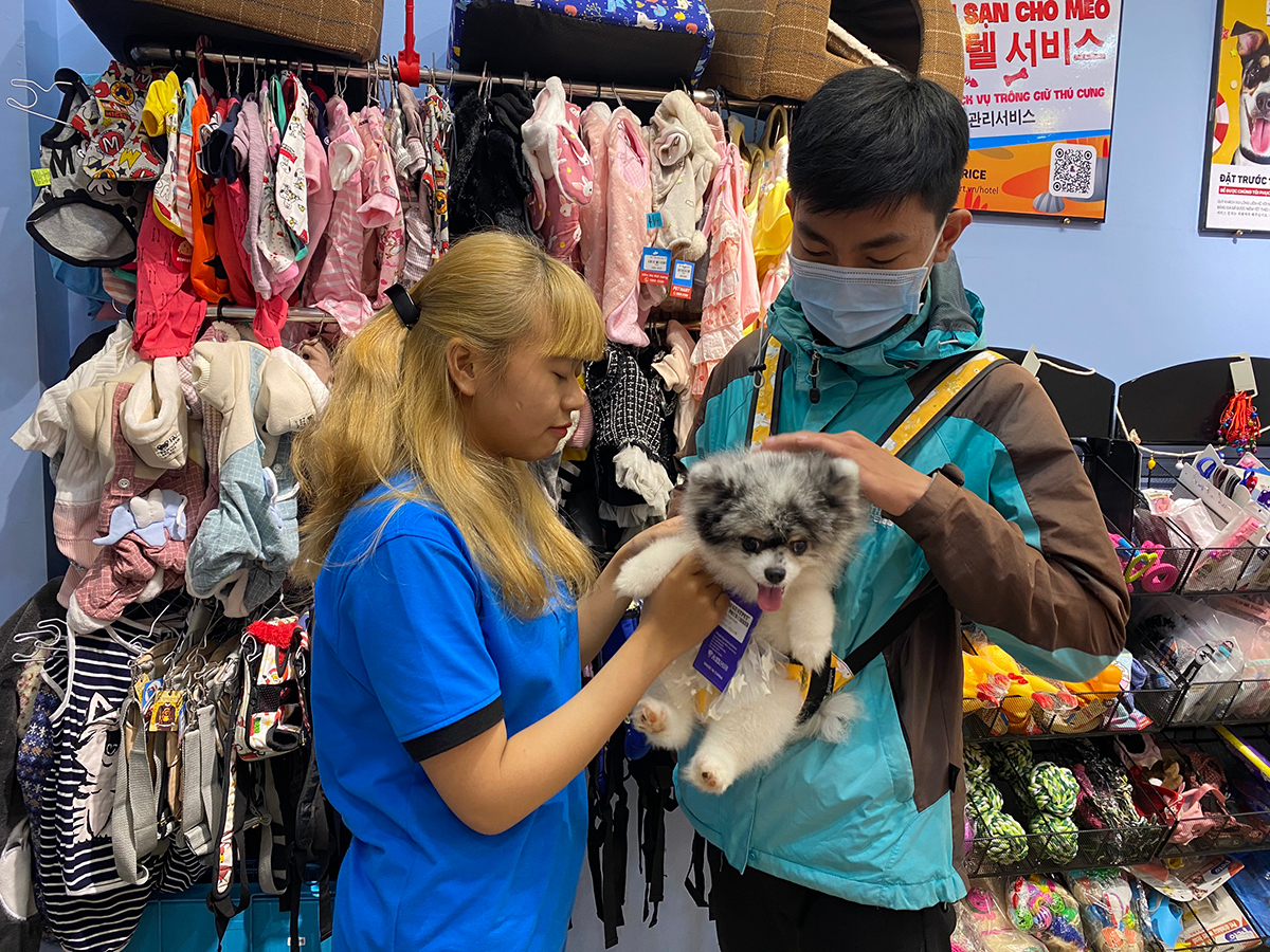 Địa chỉ mua địu chó từ 4kg, 10kg, 15kg, 20kg tại Hà Nội & TP.HCM