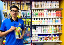 Lược chải lông chó, lược gỡ rối tốt mua ở đâu, giá bao nhiêu?