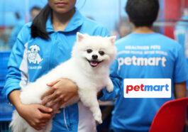 Vacxin 5 - 7 bệnh cho chó gồm bệnh gì, giá bao nhiêu, mua ở đâu?